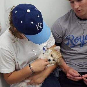 Meet your Posher, Simon